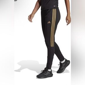 Women's adidas Tiro 23 Track Pant